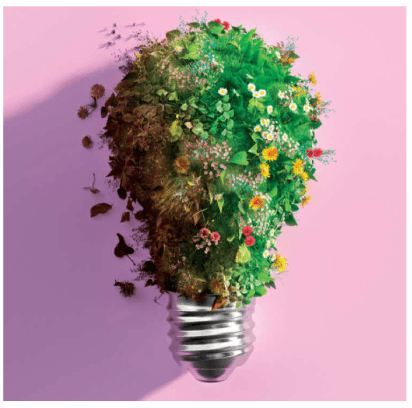 Sustainability first